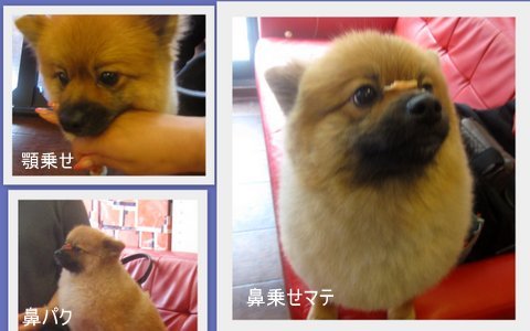 2012-06-28 0011.jpg