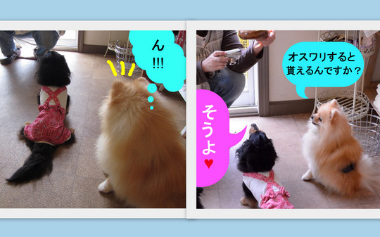 2012_06_171-002.jpg