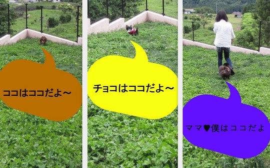 2012_06_171.jpg