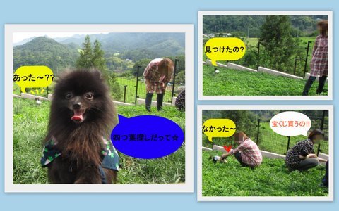 2012_06_173-004.jpg