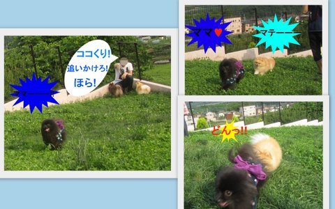 2012_06_173-005.jpg
