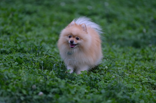DSC_2426.jpg