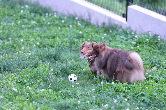 DSC_2533.jpg