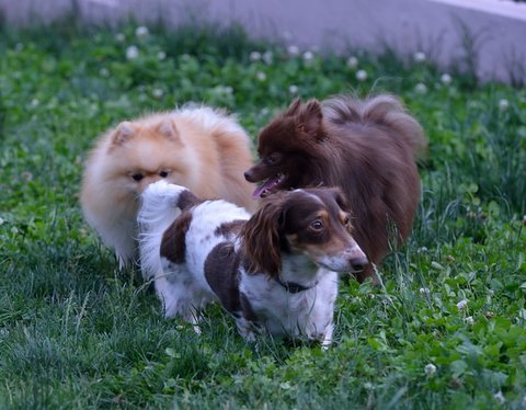DSC_2535.jpg