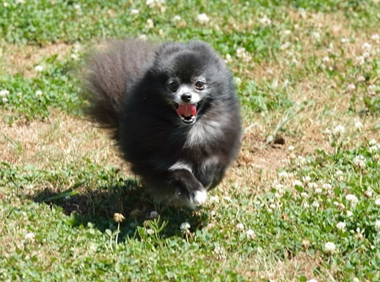 DSC_4211.jpg