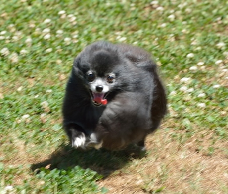 DSC_4215.jpg