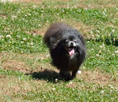 DSC_4234.jpg