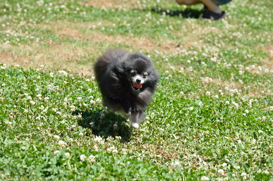 DSC_4235.jpg
