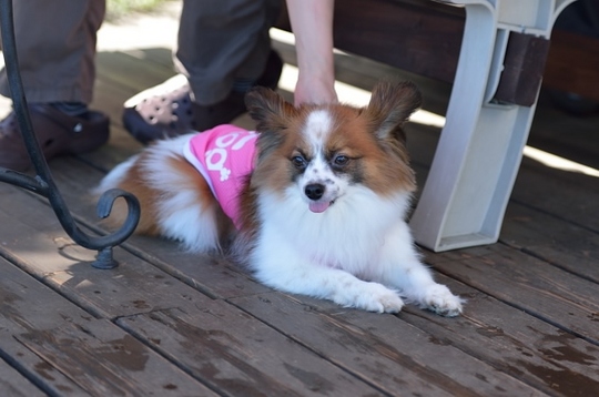 DSC_4384.jpg
