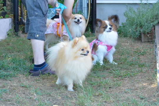 DSC_4597.jpg