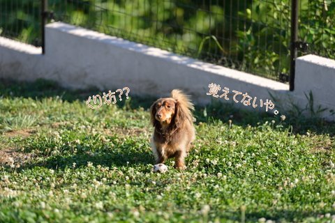 DSC_4603 (1).jpg