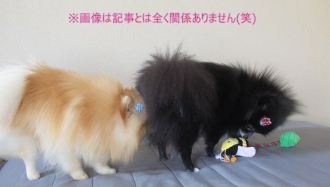 IMG_2436_1.JPG