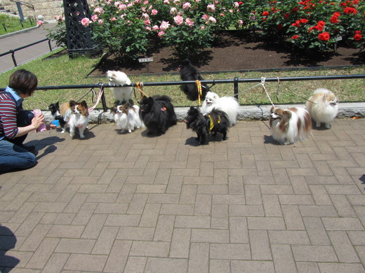 IMG_2674.JPG
