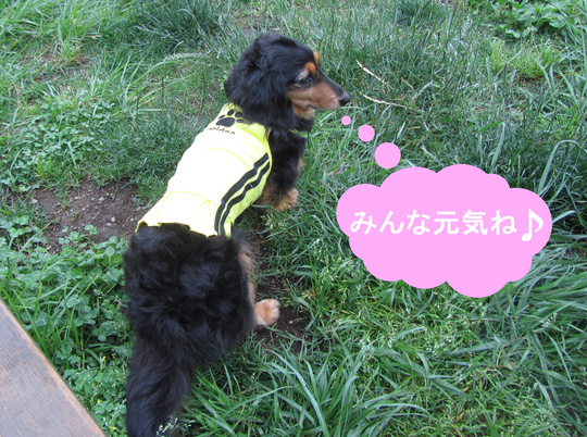 IMG_3374_1-001.JPG