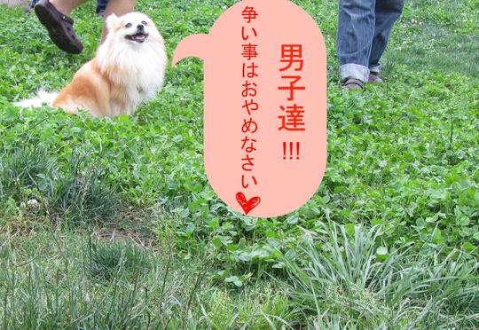 IMG_3378_1-001.JPG