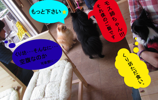 IMG_3437_1-002.JPG