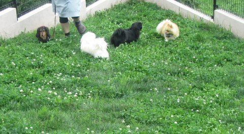 IMG_3997.JPG