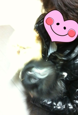 image-20120225111343.png