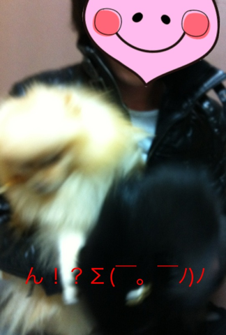 image-20120225111402.png
