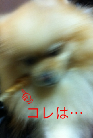image-20120225111415.png