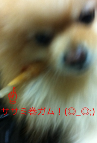 image-20120225111426.png