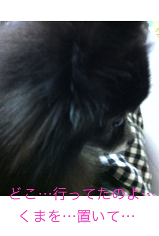 image-20120226220740.png
