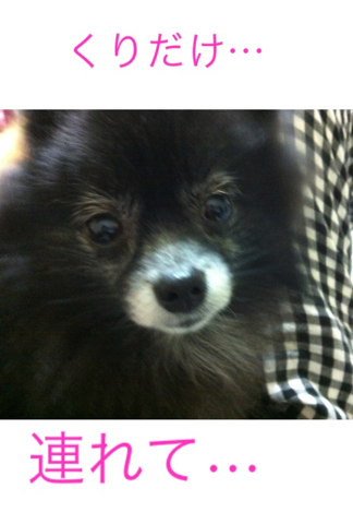 image-20120226220753.png