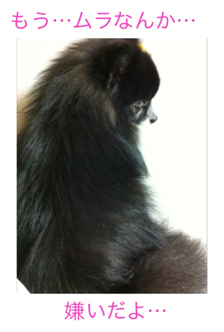 image-20120226220805.png