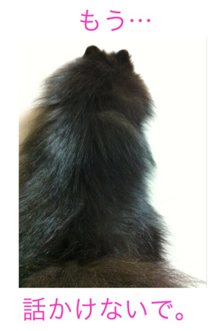 image-20120226220816.png