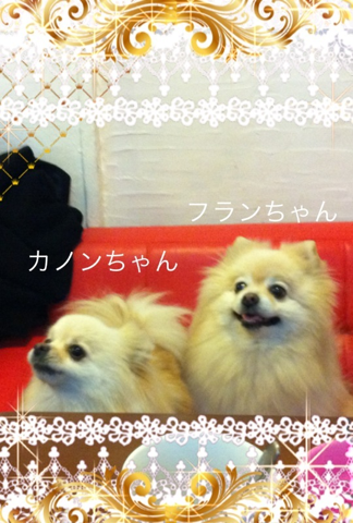 image-20120227161331.png