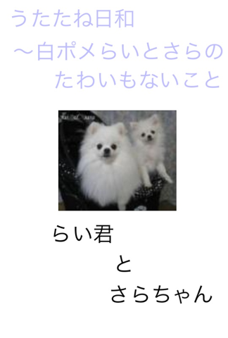 image-20120227161435.png