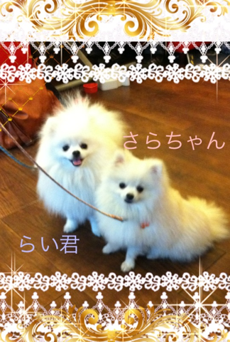 image-20120227161451.png