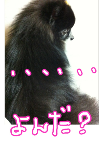 image-20120227162638.png