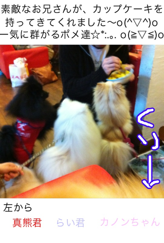 image-20120228175010.png