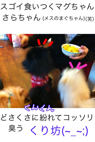 image-20120228175056.png
