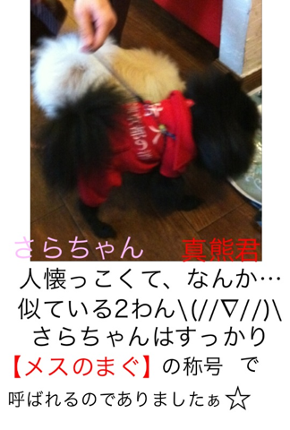 image-20120228175111.png