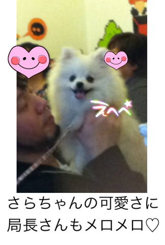 image-20120228175202.png