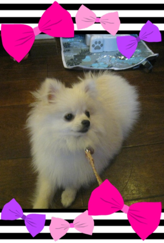 image-20120228175219.png