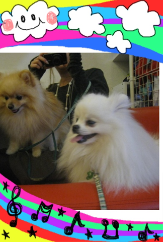image-20120228175233.png