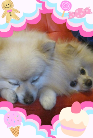 image-20120228175254.png