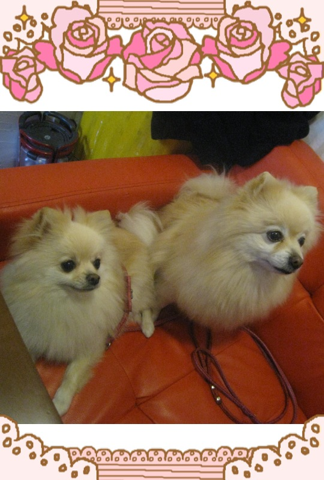 image-20120228175322.png
