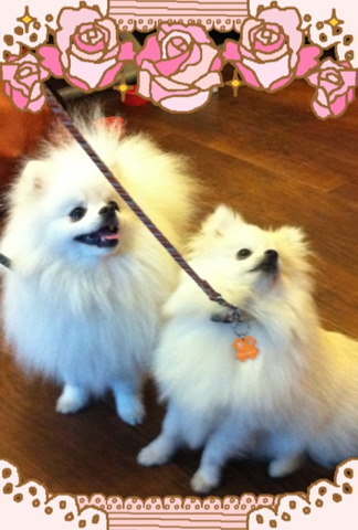 image-20120228175342.png