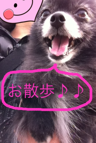 image-20120229180920.png