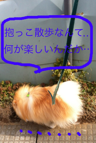 image-20120229180930.png