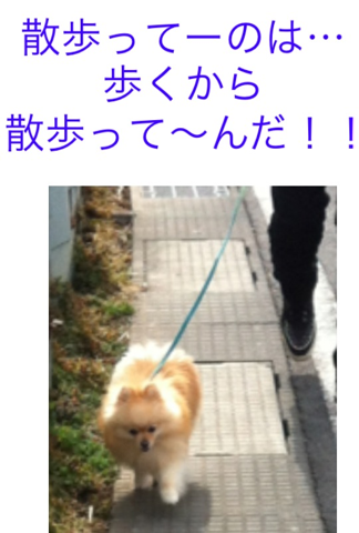 image-20120229180945.png
