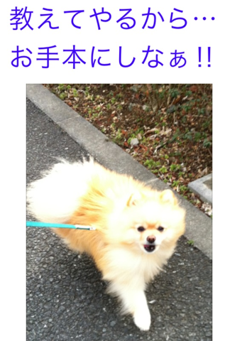 image-20120229180957.png