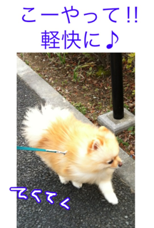 image-20120229181010.png