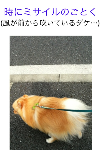 image-20120229181025.png