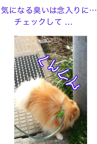 image-20120229181039.png