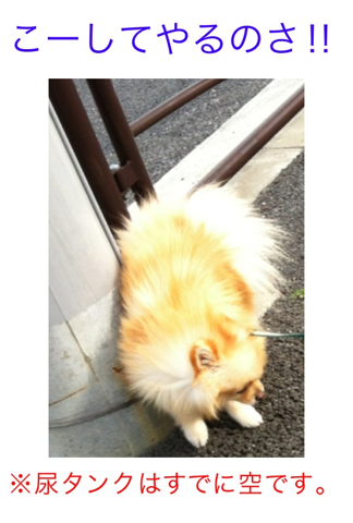 image-20120229181110.png